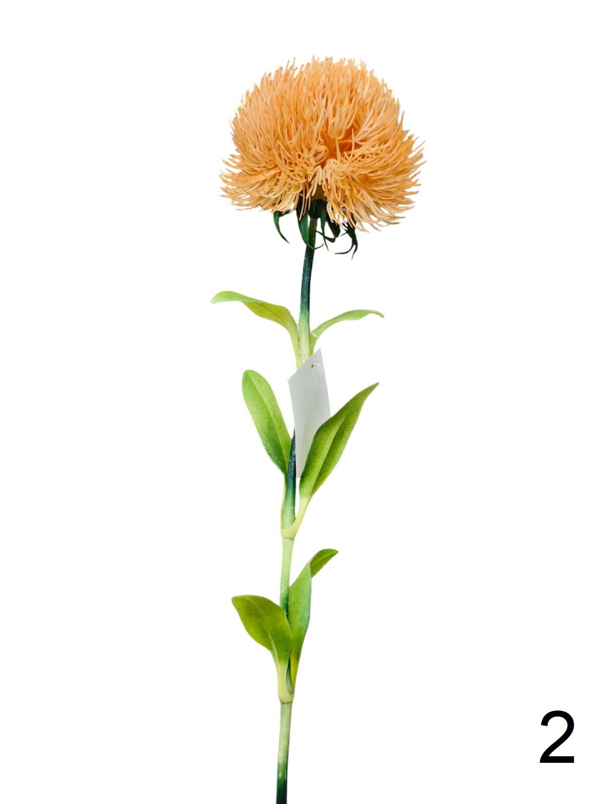 Леукоспермум K03957  Интернет-магазин Feron Flower 
