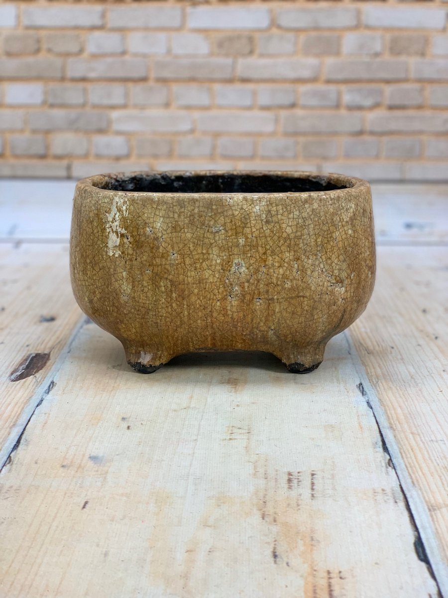 Кашпо 213CAN5006L  Интернет-магазин Feron Flower 