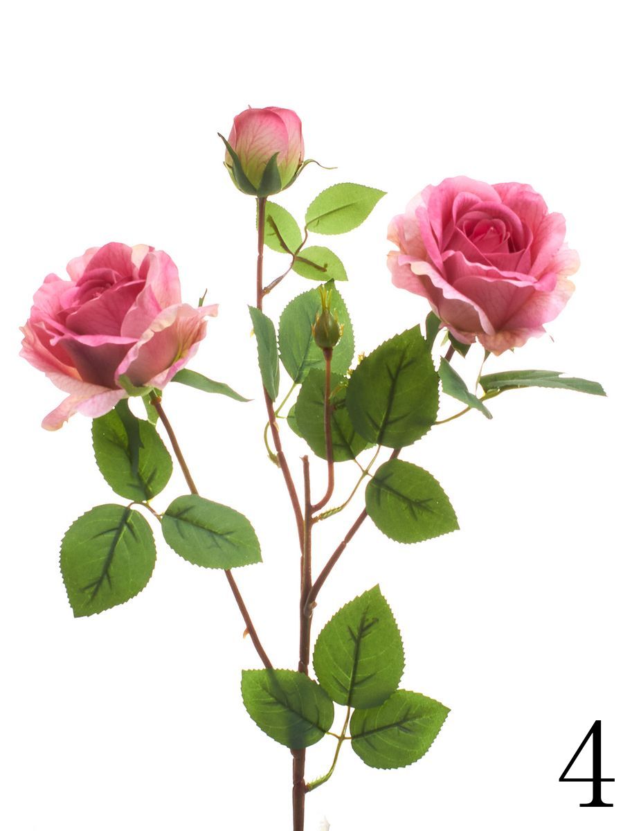 Роза HD9198  Интернет-магазин Feron Flower 