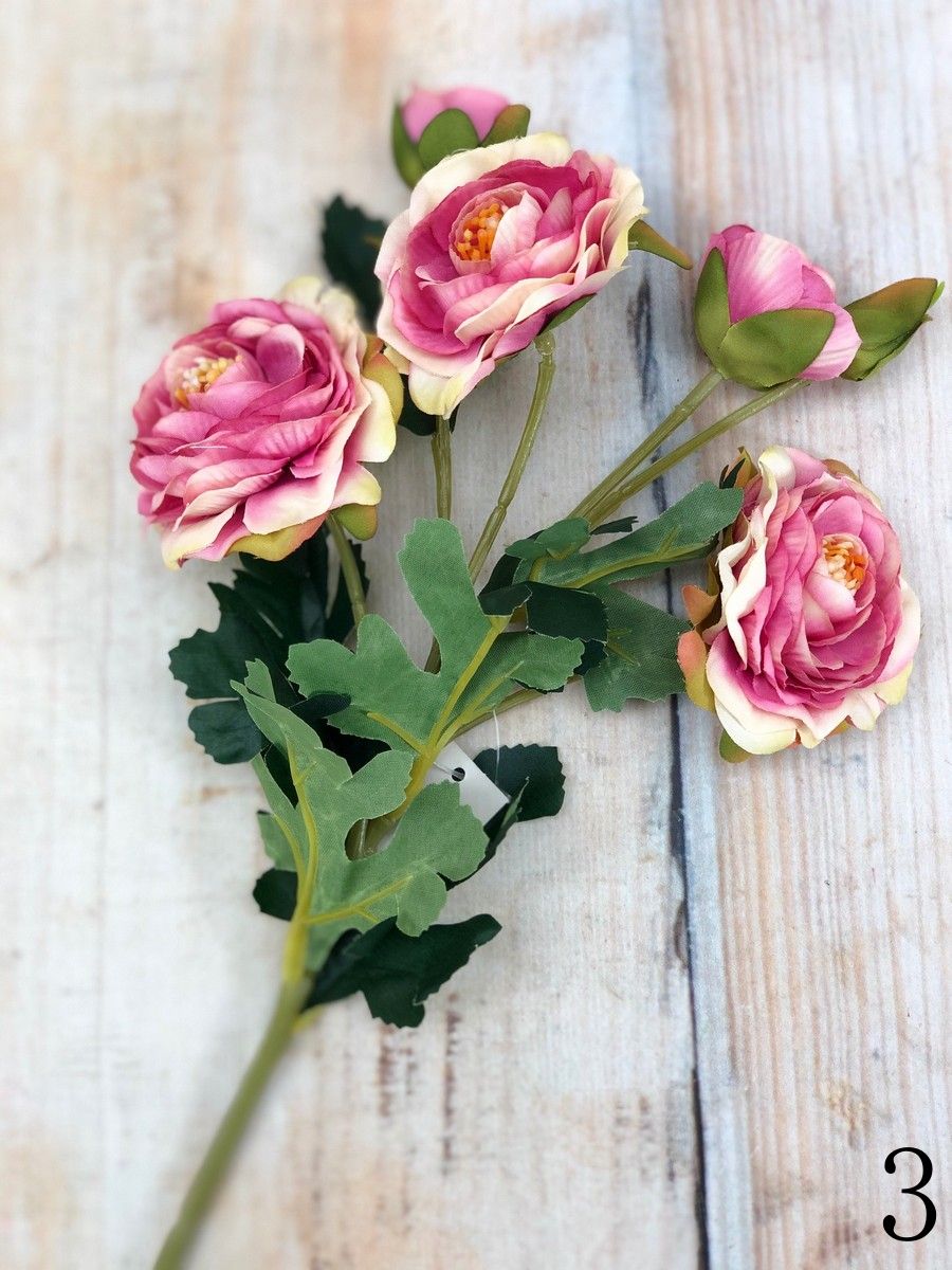 Ранункул CZ045  Интернет-магазин Feron Flower 