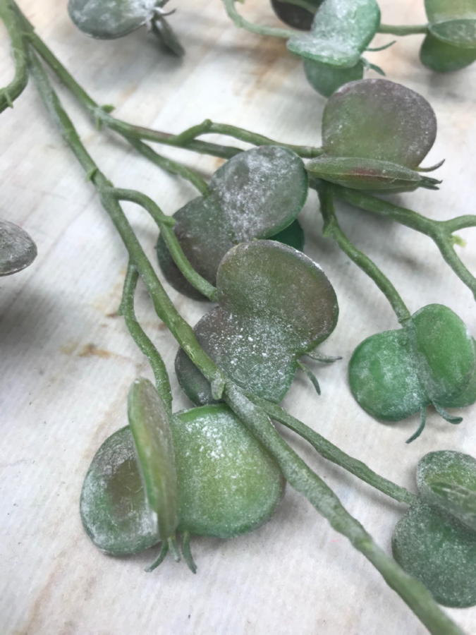 Эвкалипт 188CAN9335BS  Интернет-магазин Feron Flower 