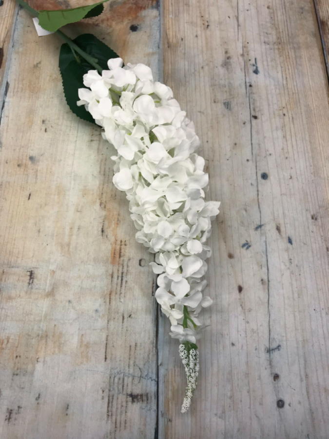 Дельфиниум K03880  Интернет-магазин Feron Flower 
