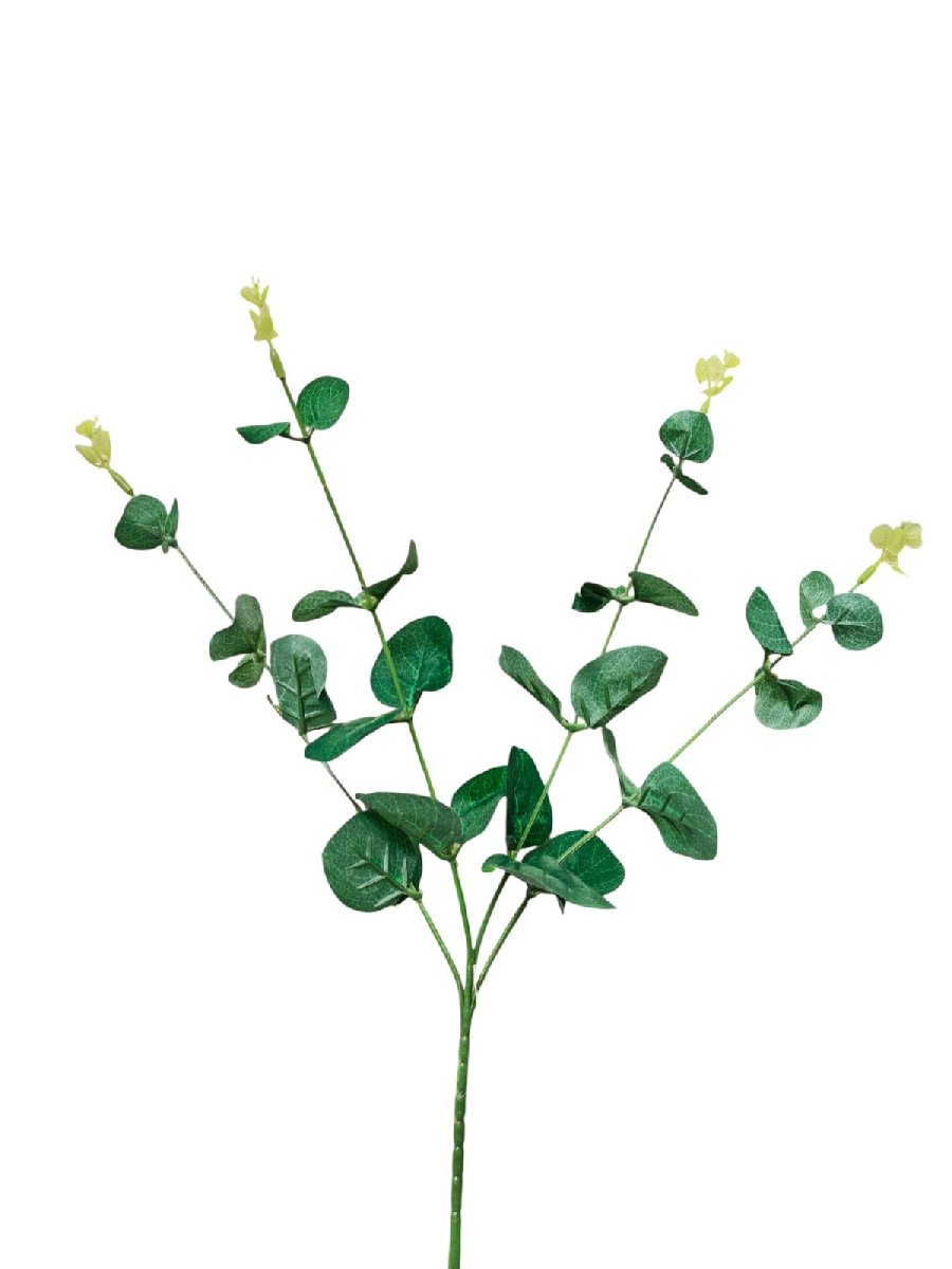 Эвкалипт MG003  Интернет-магазин Feron Flower 