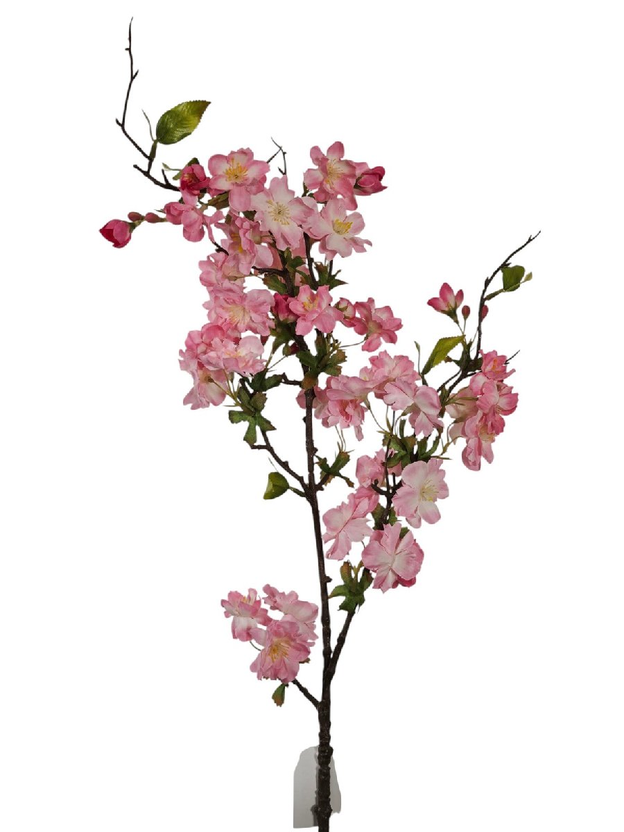 Яблонь FL-QH121  Интернет-магазин Feron Flower 