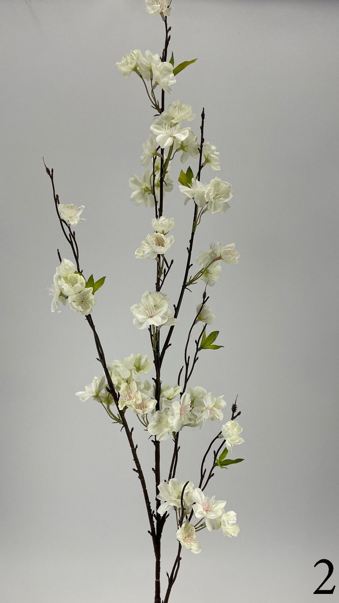Яблонь FL-QH011  Интернет-магазин Feron Flower 
