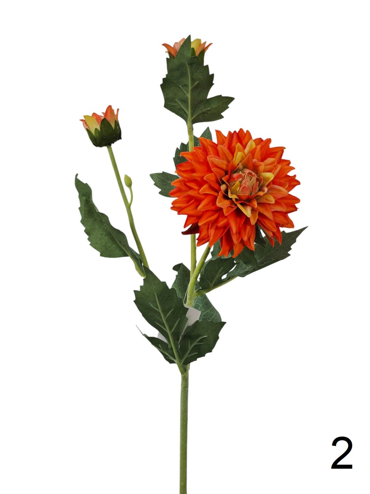 Георгин FL-QH119  Интернет-магазин Feron Flower 