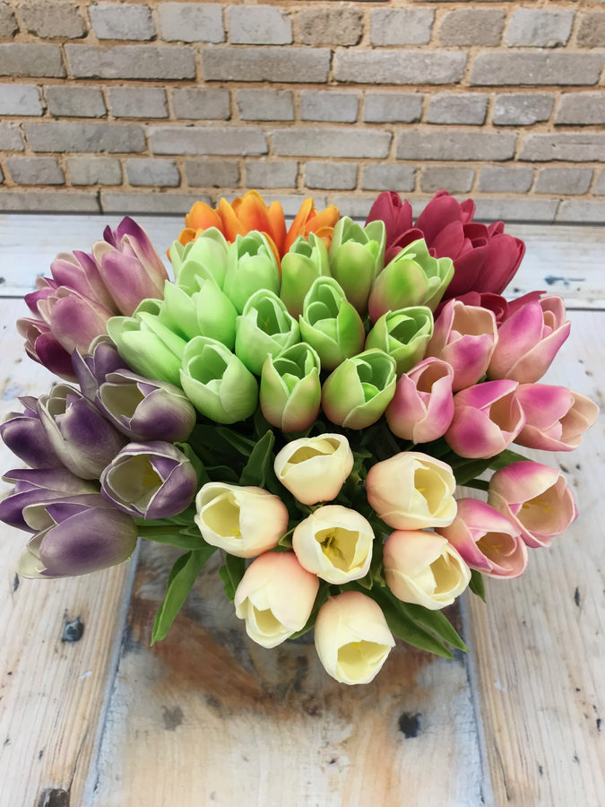 Тюльпан 81CAN056  Интернет-магазин Feron Flower 