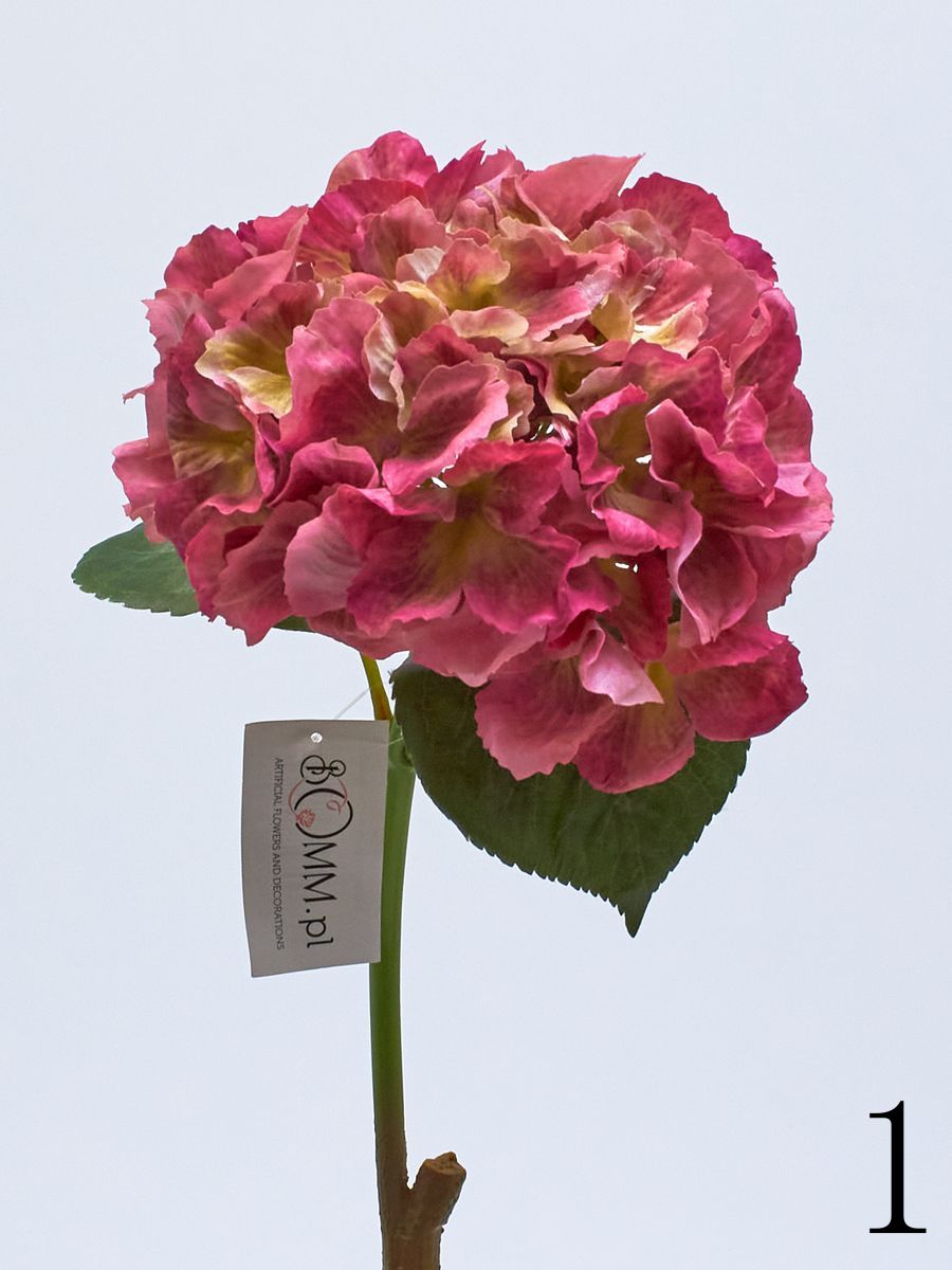 Гортензия latex GK096  Интернет-магазин Feron Flower 