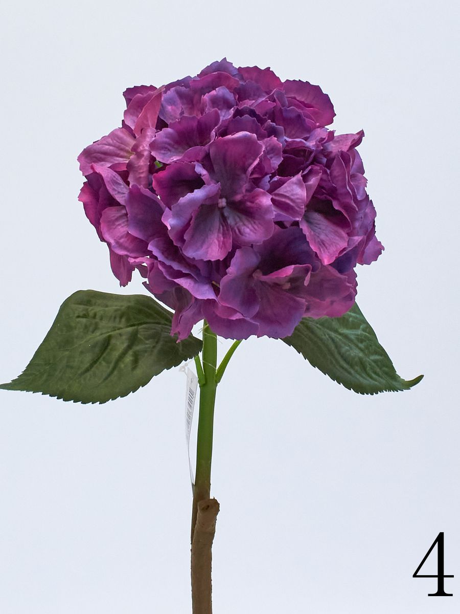 Гортензия latex GK096  Интернет-магазин Feron Flower 