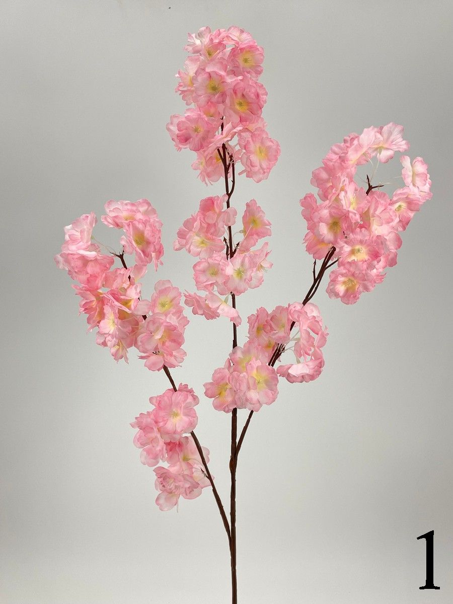 Яблонь FL-QH086  Интернет-магазин Feron Flower 