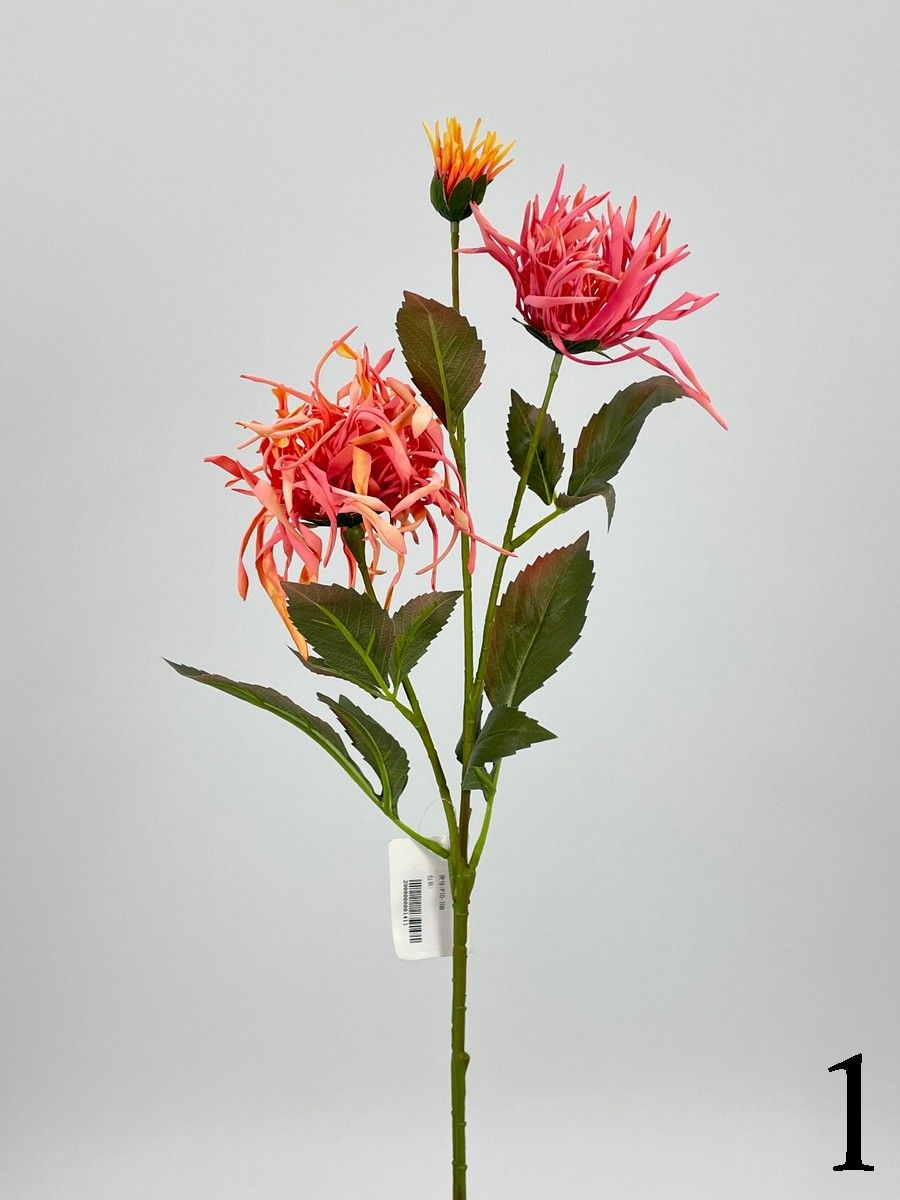 Хризантема PIO-108  Интернет-магазин Feron Flower 
