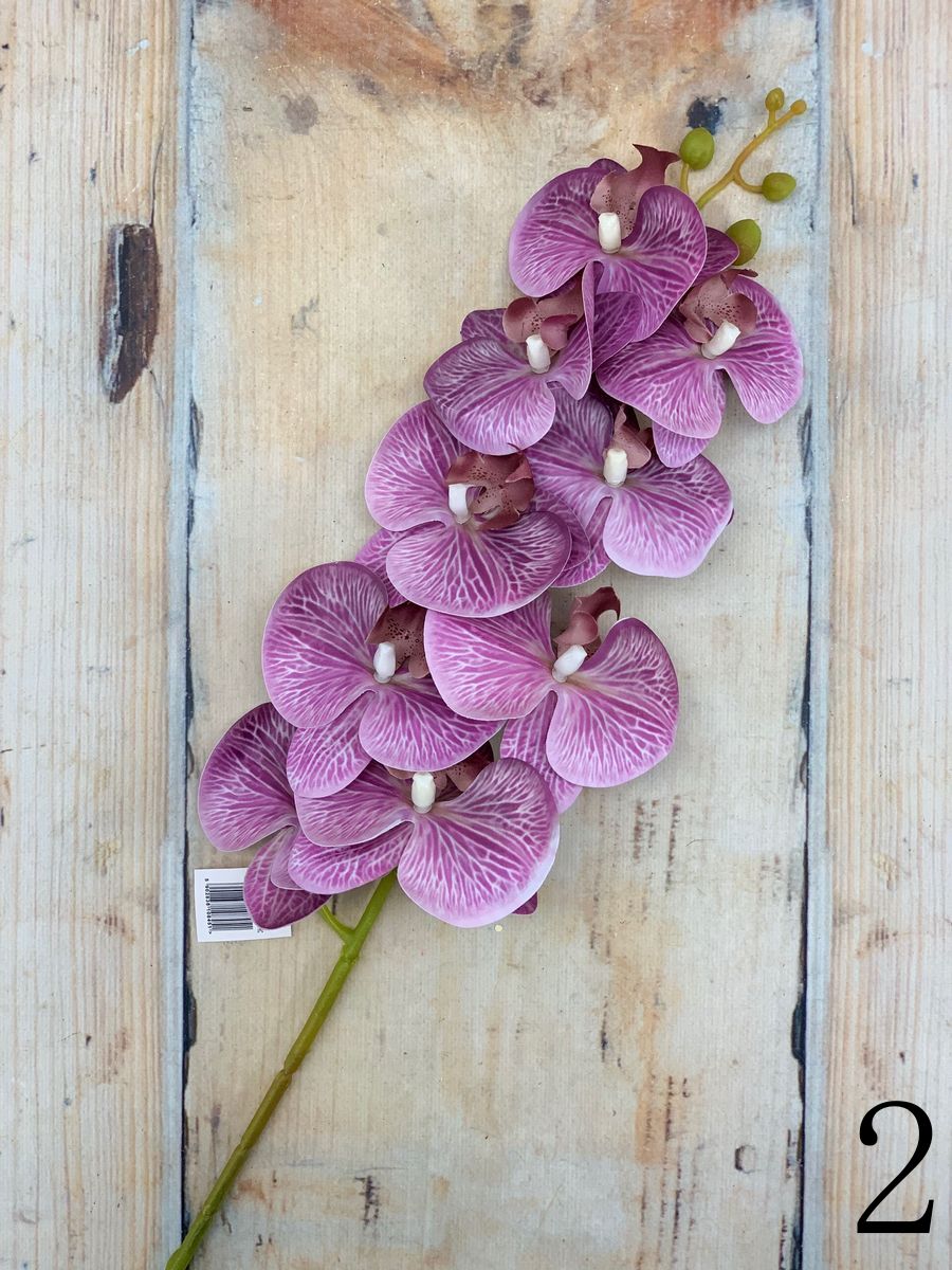 Орхидея AJ48131  Интернет-магазин Feron Flower 