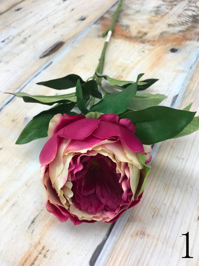 Пион K476  Интернет-магазин Feron Flower 