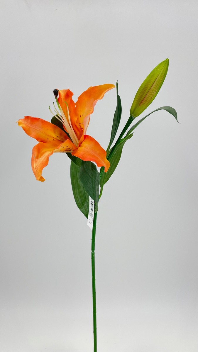 Лилия GK226  Интернет-магазин Feron Flower 