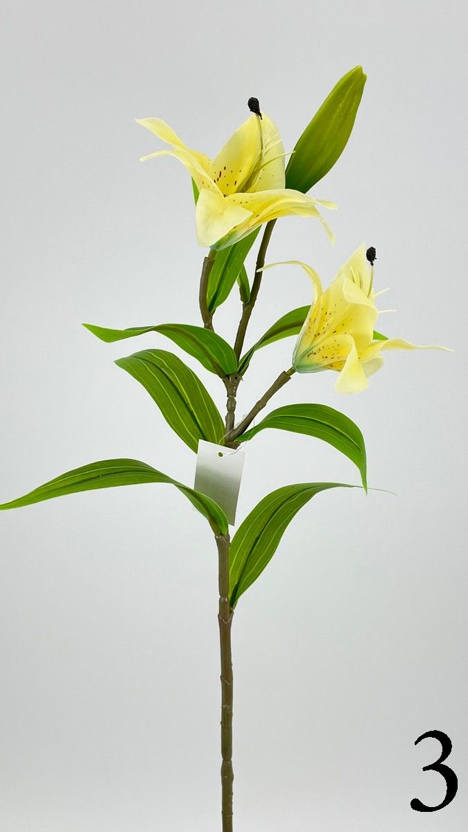Лилия FL-QH006  Интернет-магазин Feron Flower 