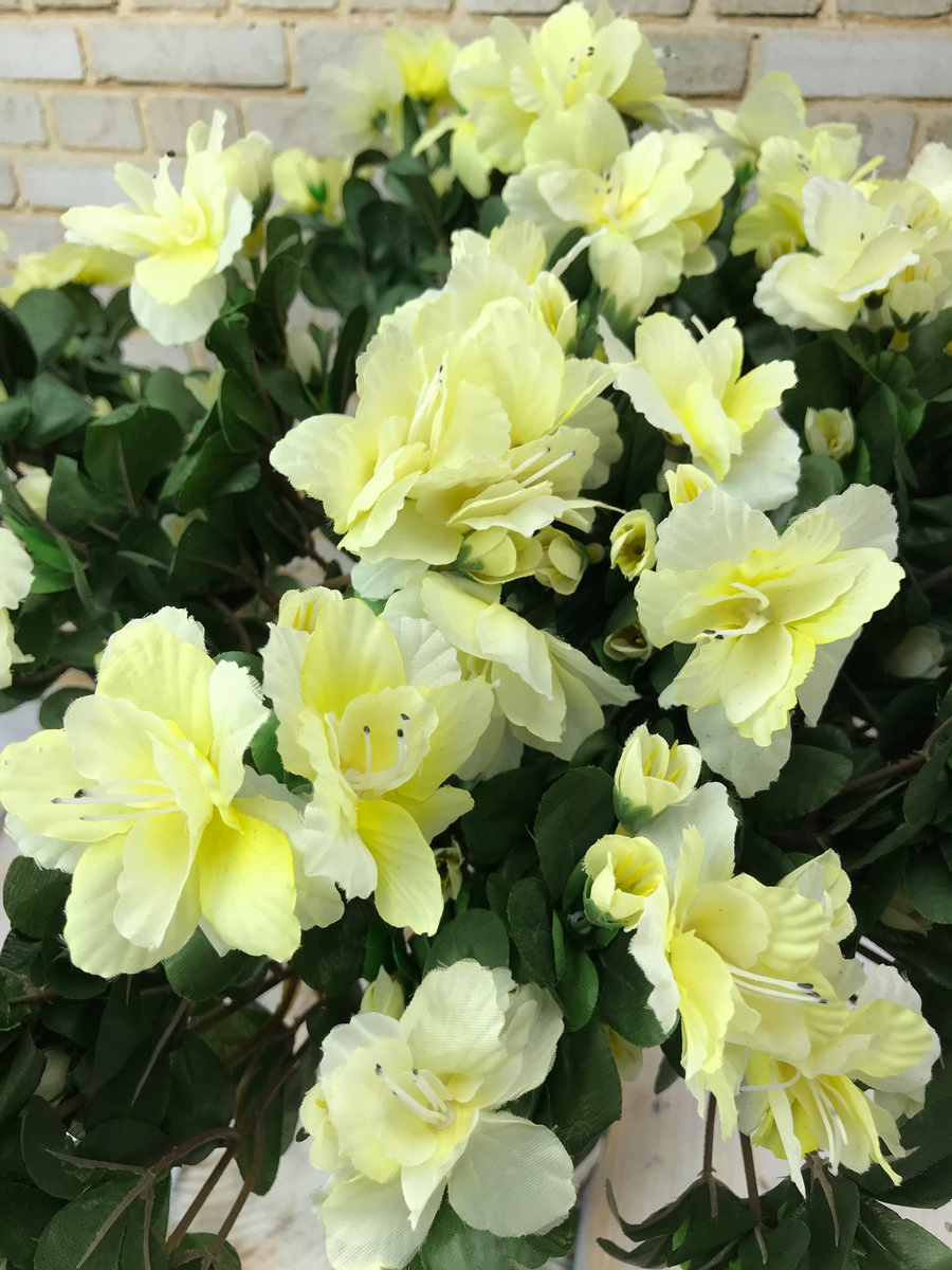 Азалия в горшке AN23035  Интернет-магазин Feron Flower 