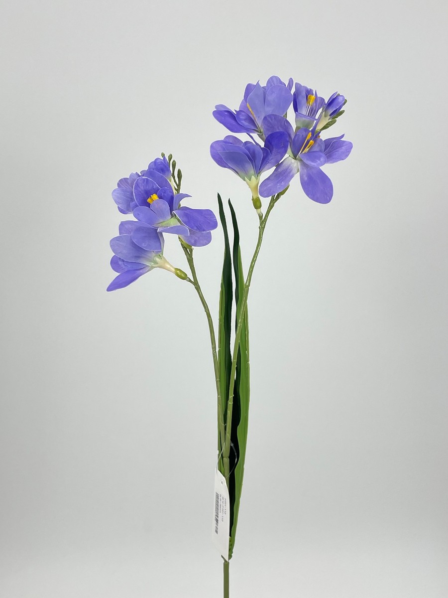 Фрезия PIO-112  Интернет-магазин Feron Flower 