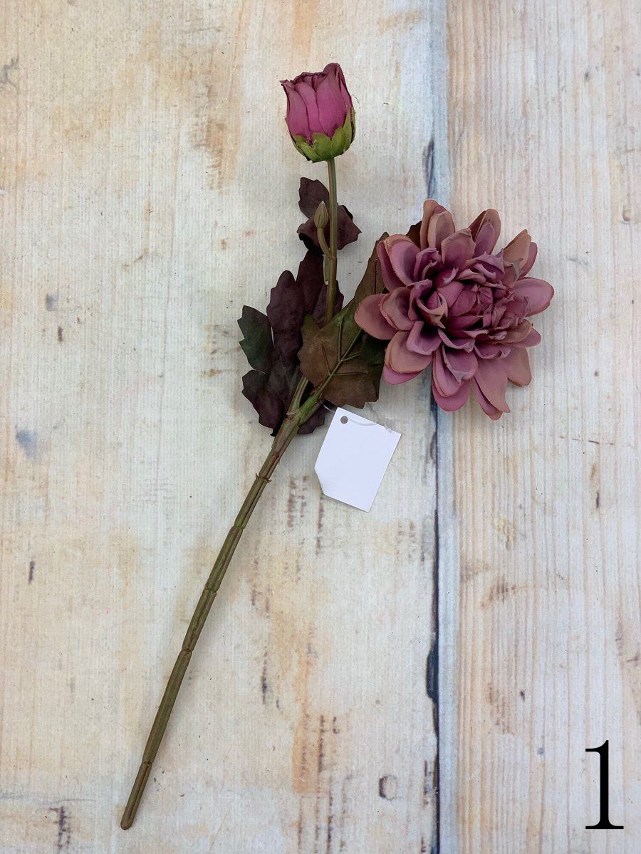 Далия K04002  Интернет-магазин Feron Flower 