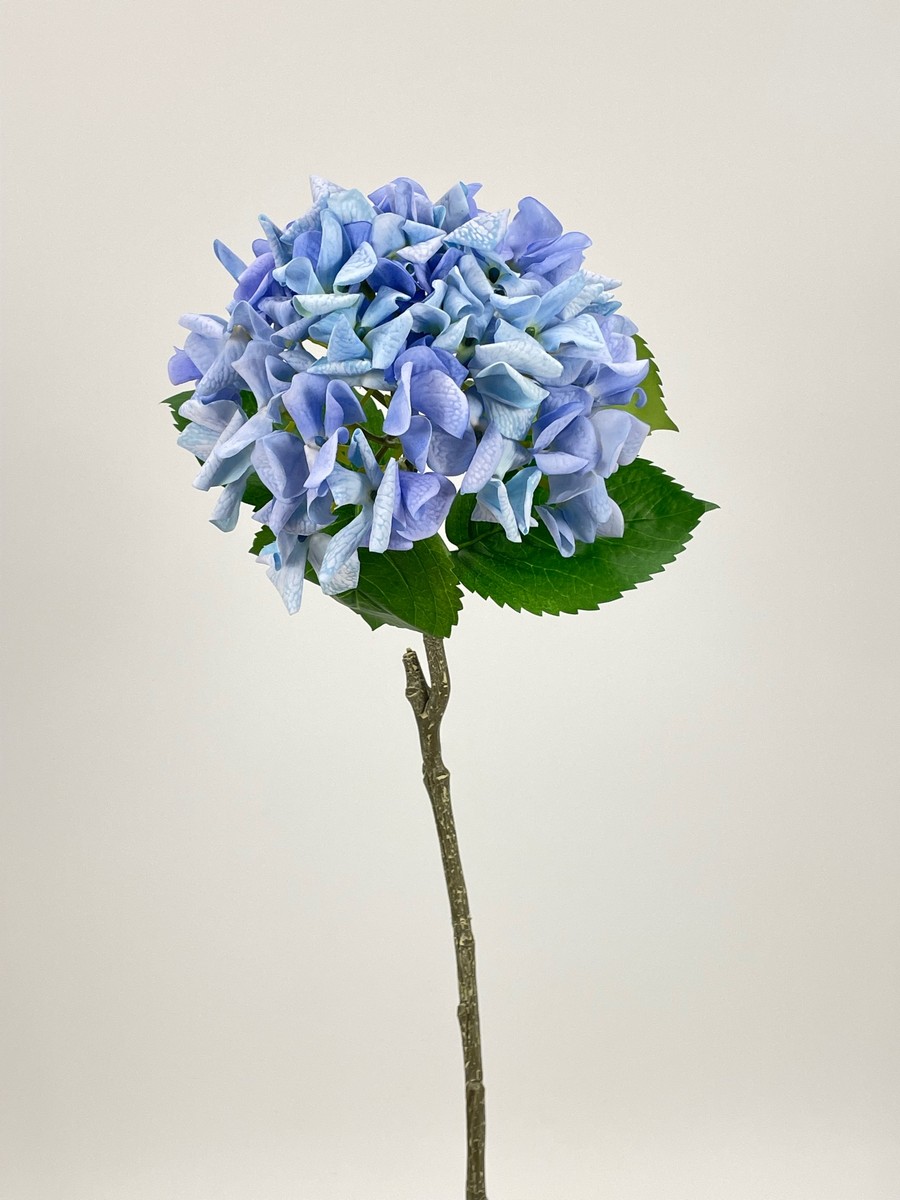 Гортензия PIO-107  Интернет-магазин Feron Flower 