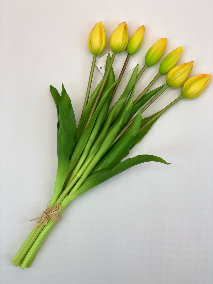 Тюльпан BU04045  Интернет-магазин Feron Flower 