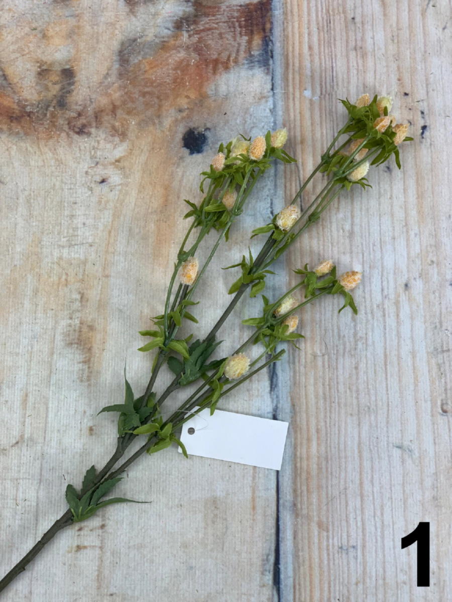 Филадендрон 3008  Интернет-магазин Feron Flower 