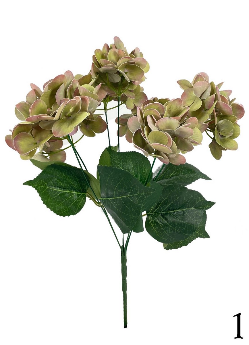 Гортензия бук TJYL013  Интернет-магазин Feron Flower 