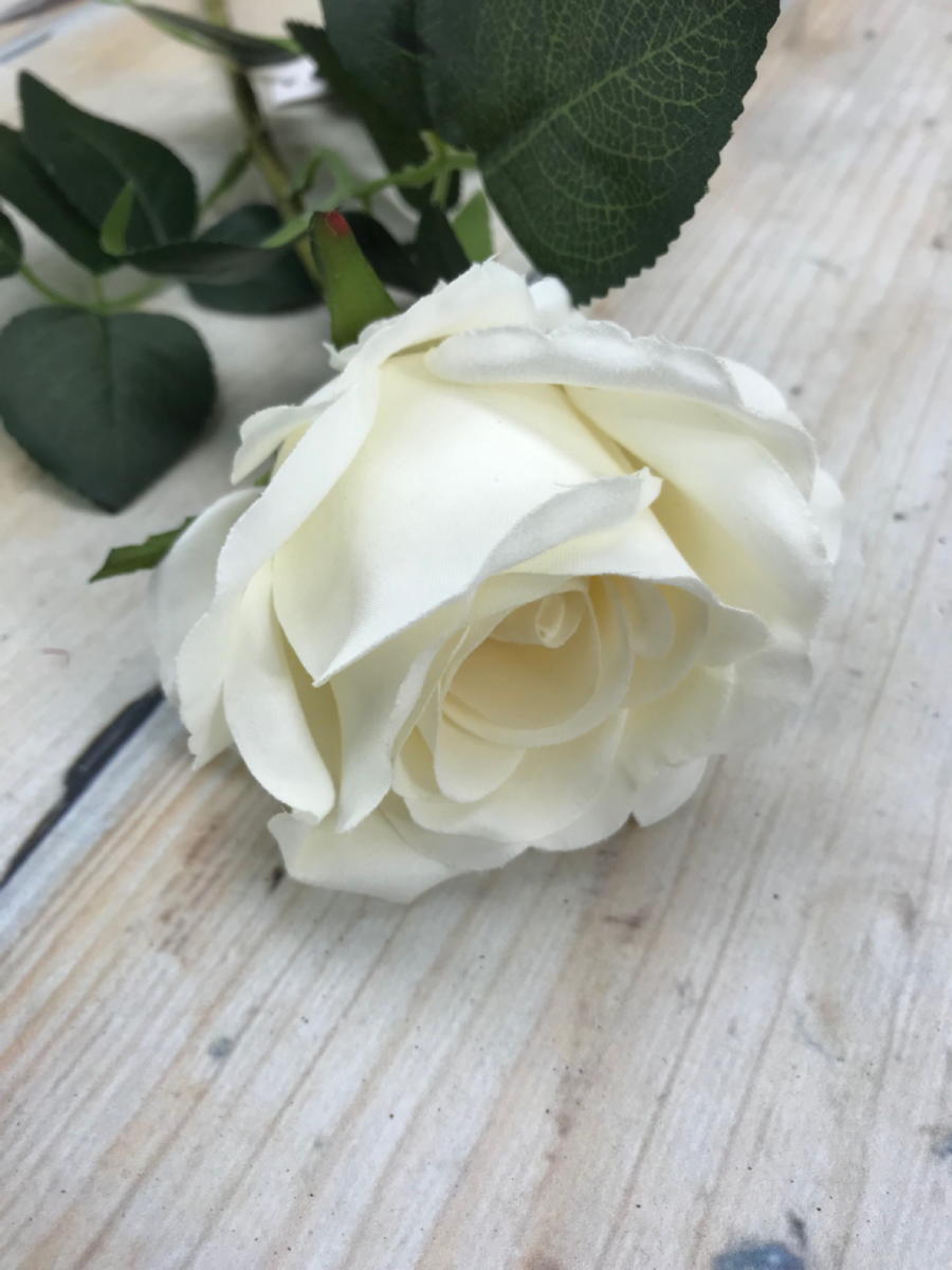 Роза TX001  Интернет-магазин Feron Flower 