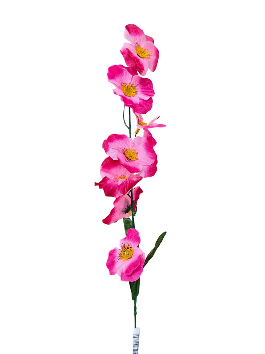 Фиалка K023E  Интернет-магазин Feron Flower 