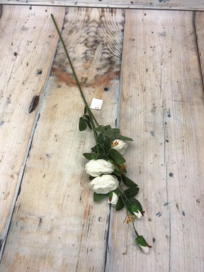 Роза K03885  Интернет-магазин Feron Flower 