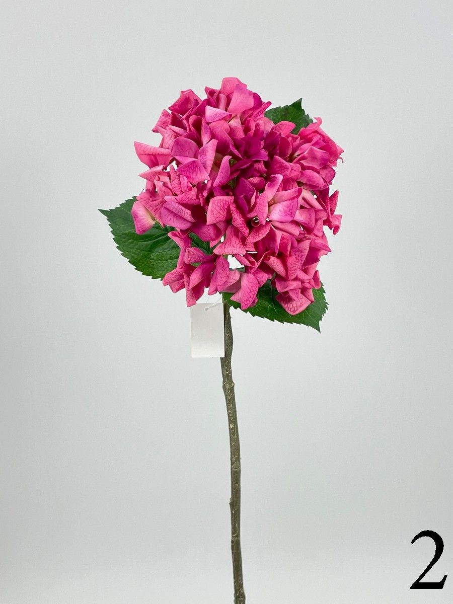 Гортензия PIO-107  Интернет-магазин Feron Flower 