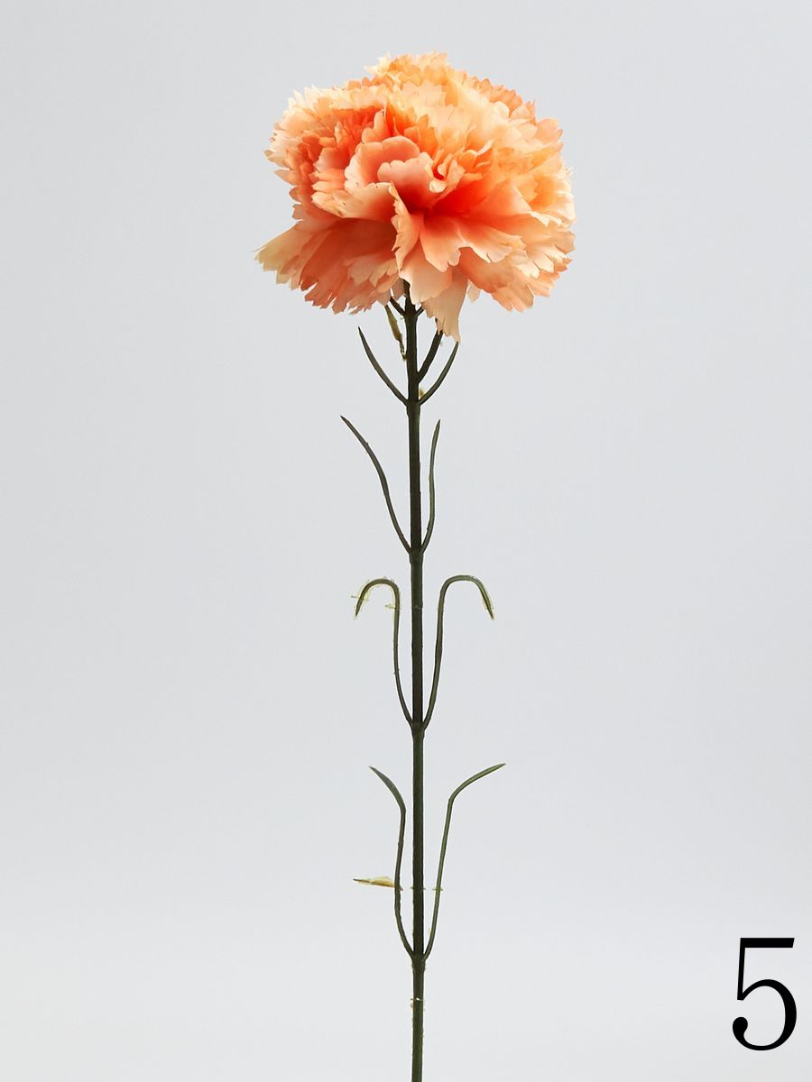 Гвоздика K396  Интернет-магазин Feron Flower 