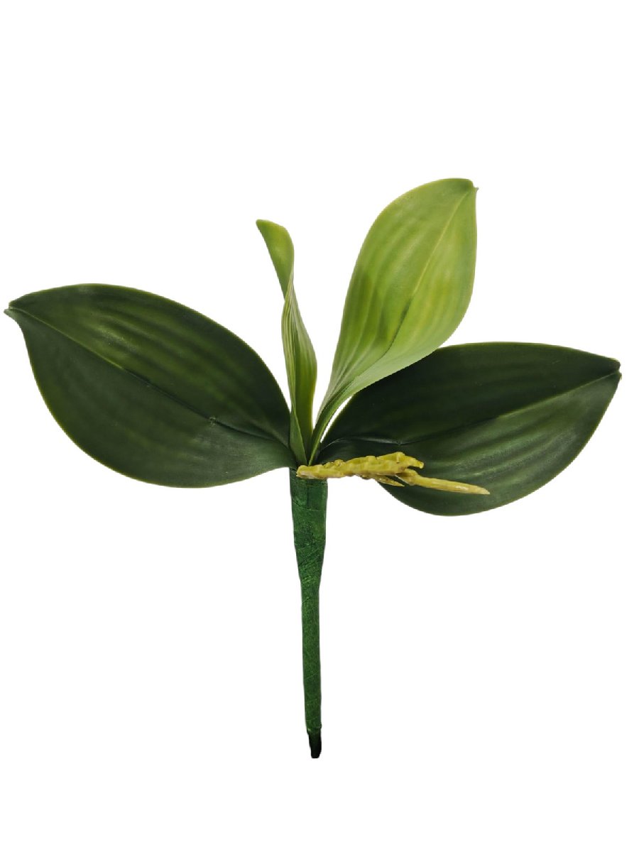 Лист орхидеи FL-QH126  Интернет-магазин Feron Flower 