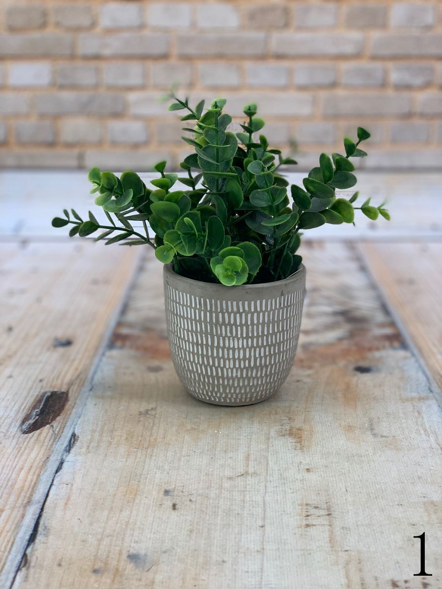 Зелень в горшке PD-562F  Интернет-магазин Feron Flower 