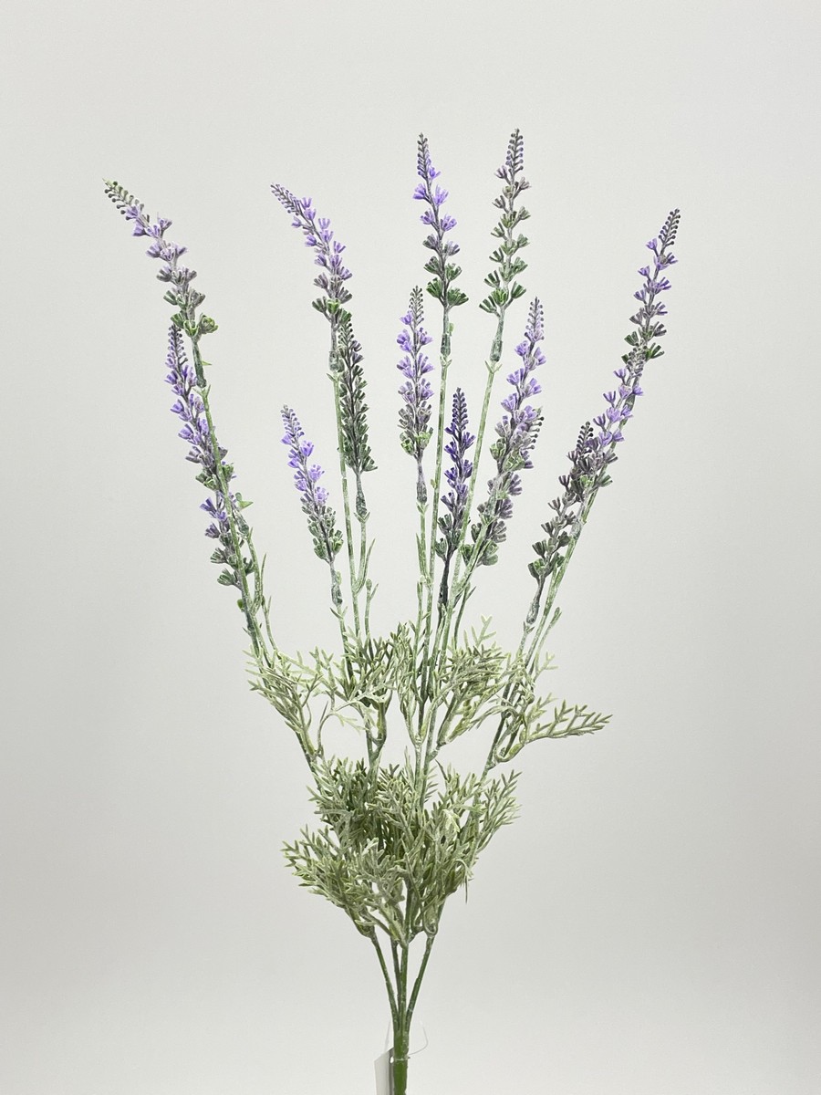 Лаванда FL-QH047  Интернет-магазин Feron Flower 