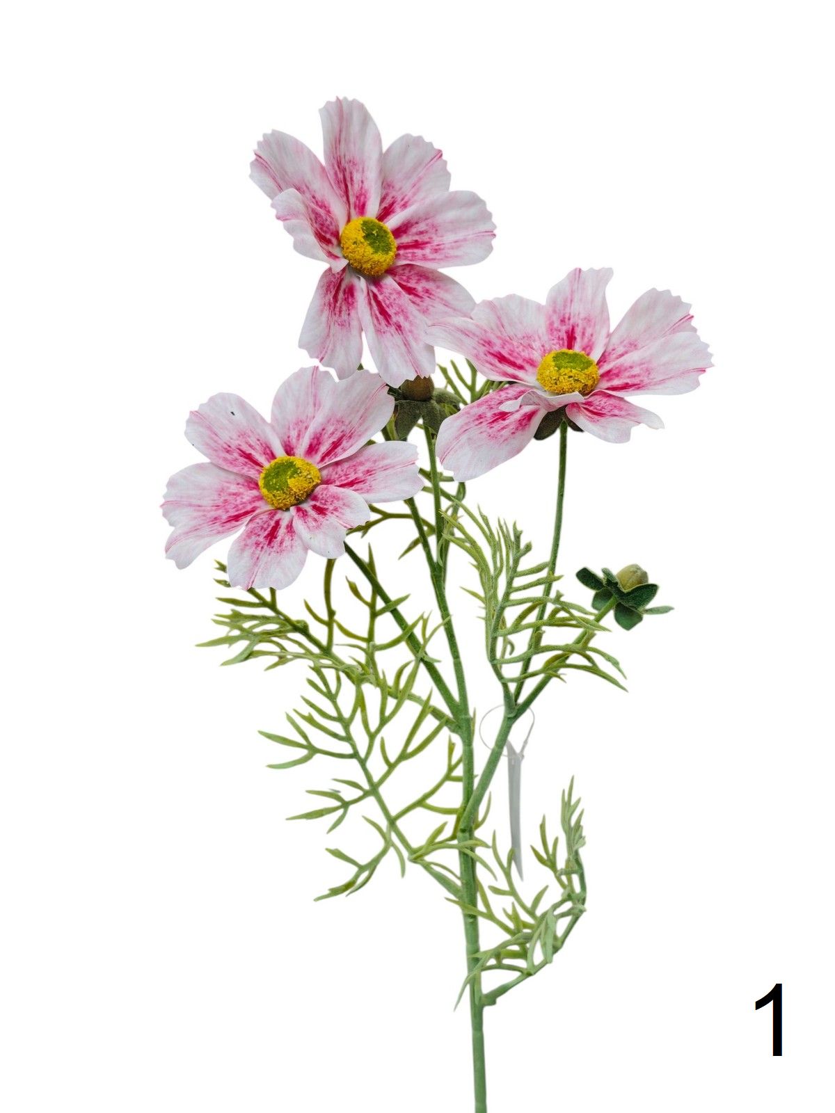 Космея FL-QH091  Интернет-магазин Feron Flower 