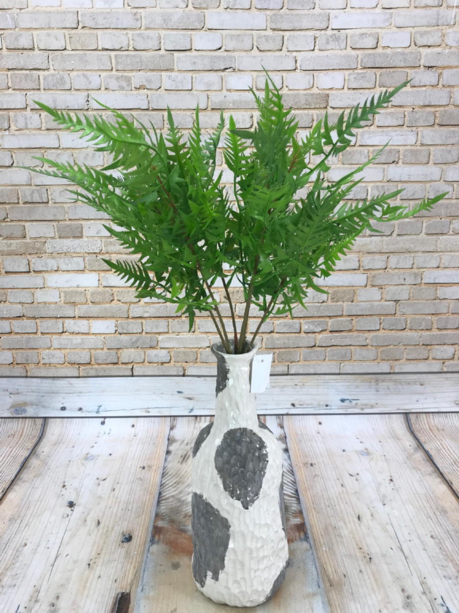 Папоротник AA017  Интернет-магазин Feron Flower 