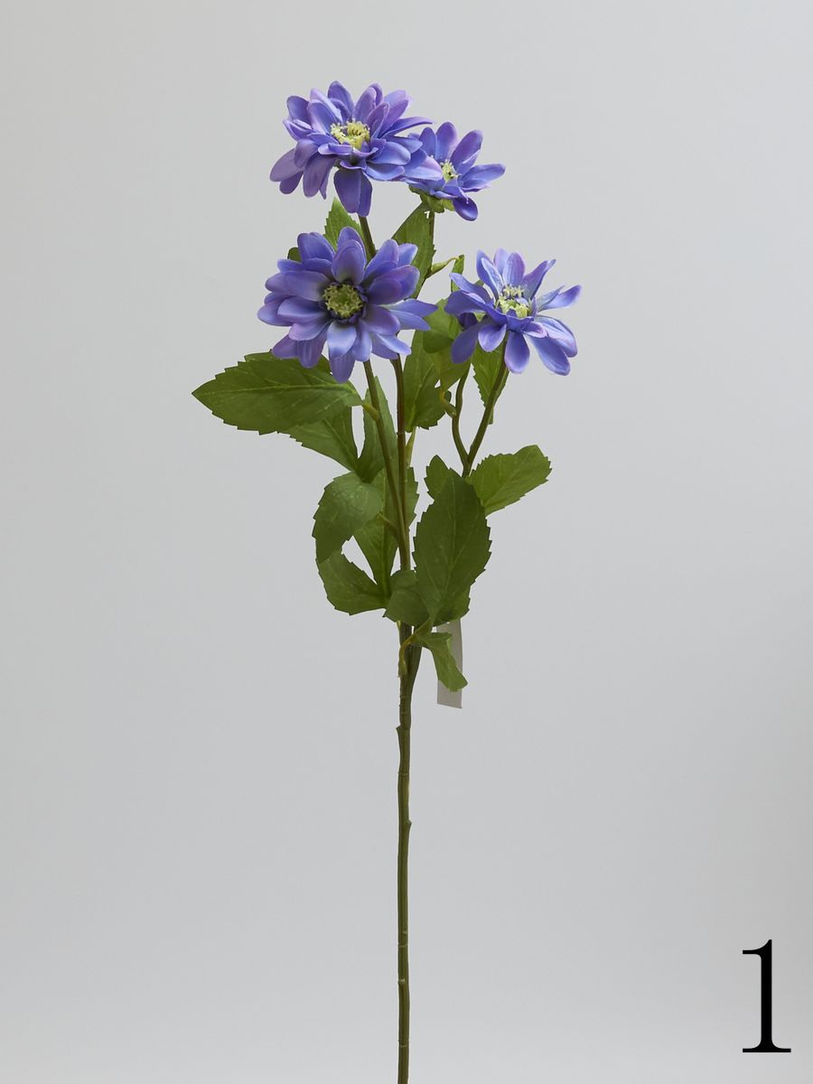 Хризантема SUN669  Интернет-магазин Feron Flower 