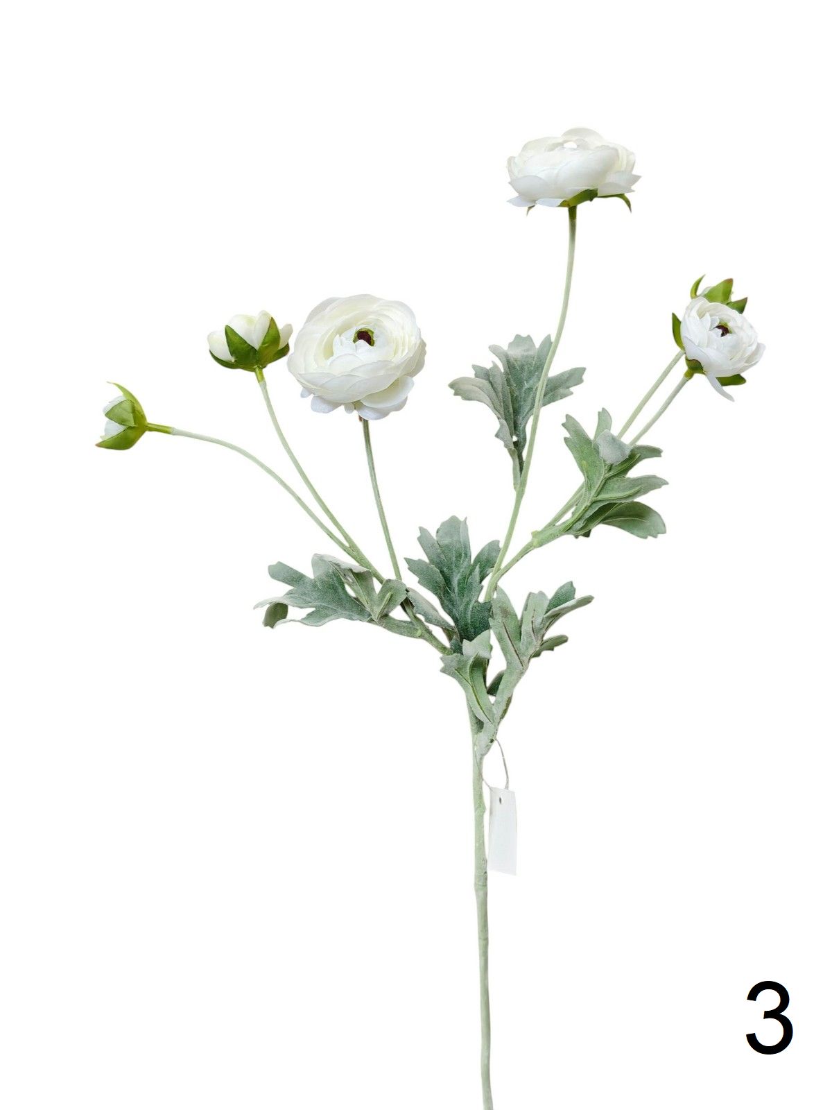 Рунункулус 9144-1330  Интернет-магазин Feron Flower 