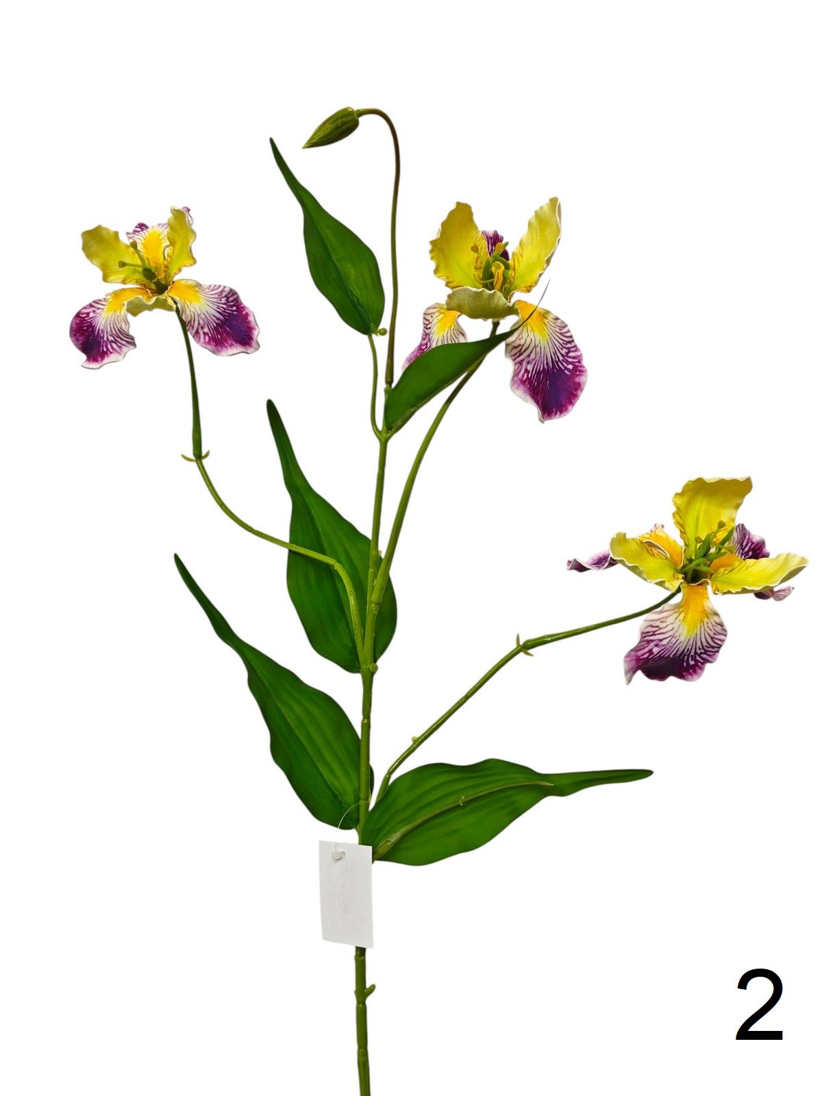 Ирис FL-QH164  Интернет-магазин Feron Flower 