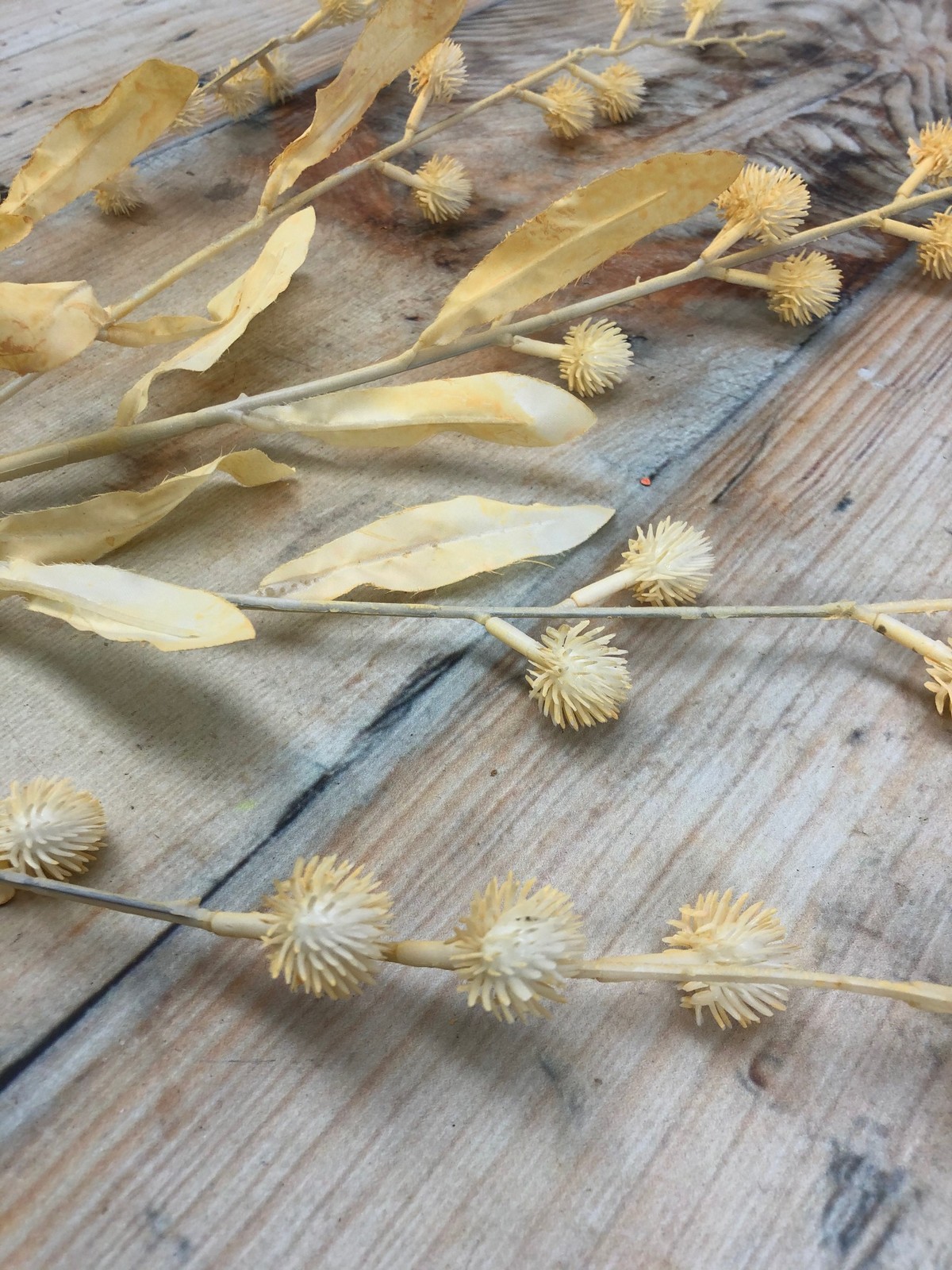 Зелень 9KW8158  Интернет-магазин Feron Flower 