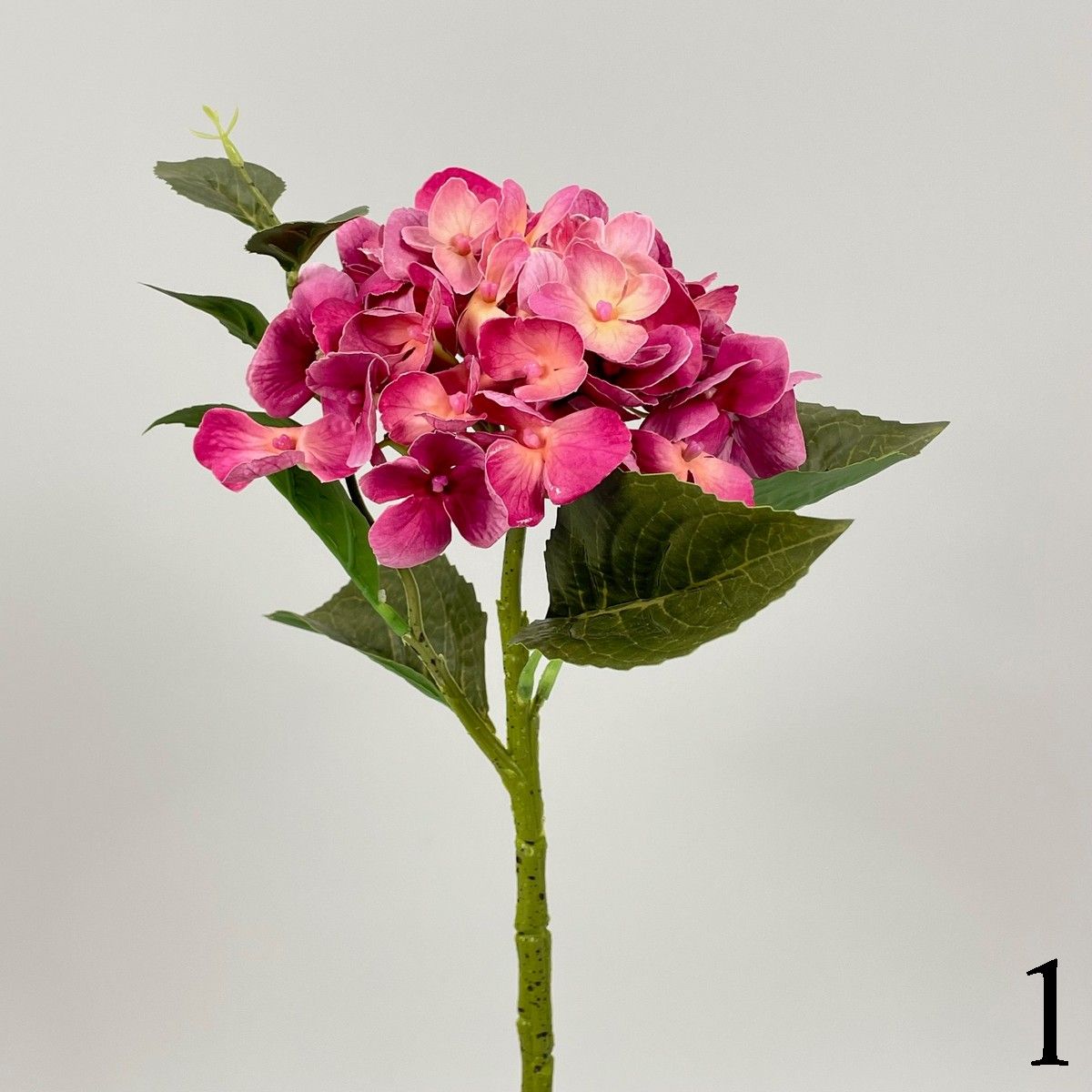Гортензия MST015  Интернет-магазин Feron Flower 