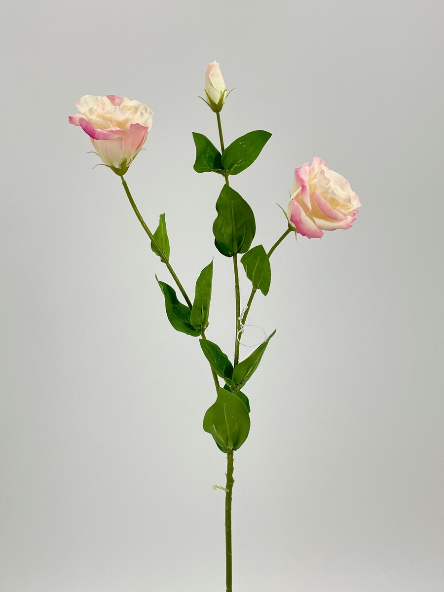 Эустома REN-203 нежно-розовый  Интернет-магазин Feron Flower 