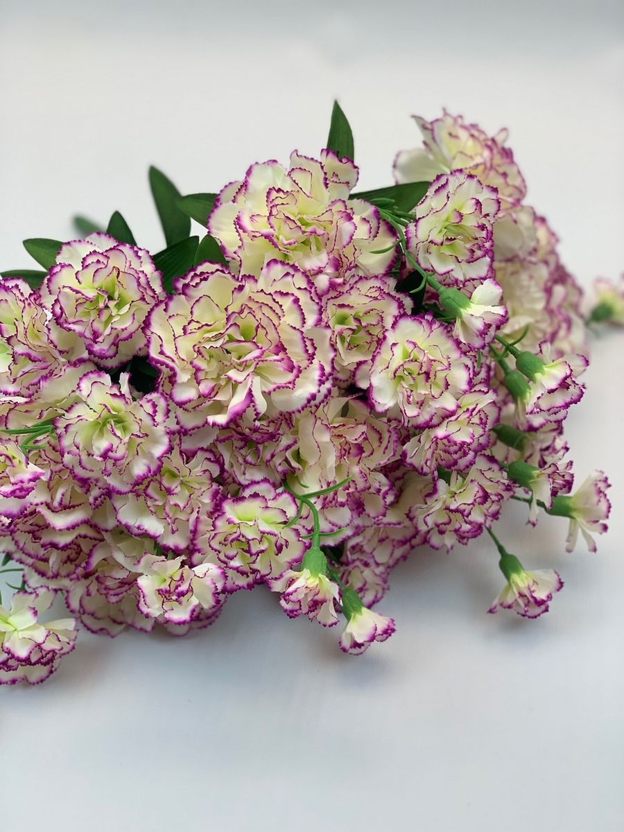 Гвоздика букет SUN456  Интернет-магазин Feron Flower 