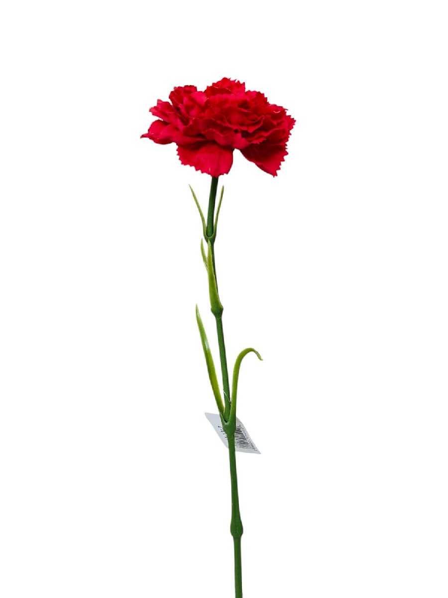 Гвоздика 9144-1317  Интернет-магазин Feron Flower 