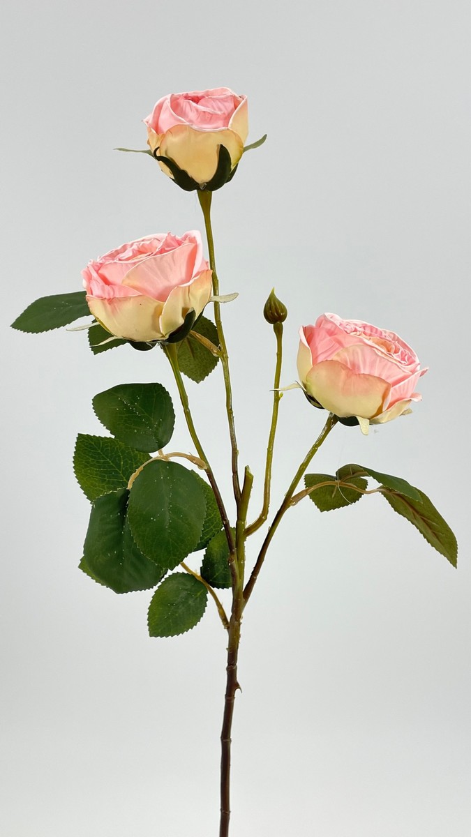 Роза 306928  Интернет-магазин Feron Flower 