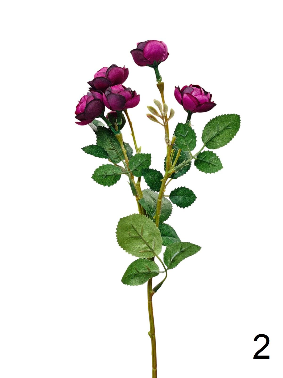 Камелия DY1-4525  Интернет-магазин Feron Flower 