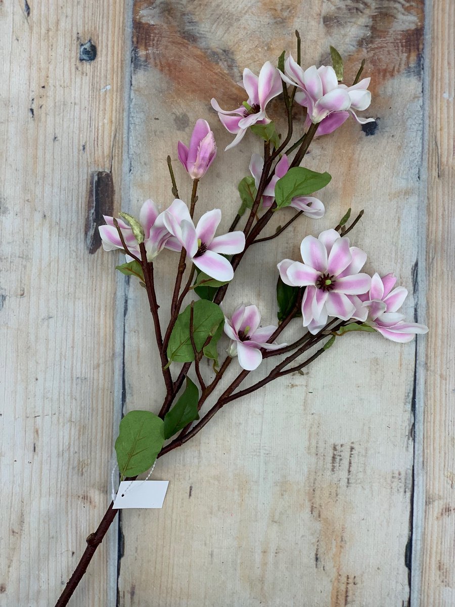 Магнолия 412106  Интернет-магазин Feron Flower 