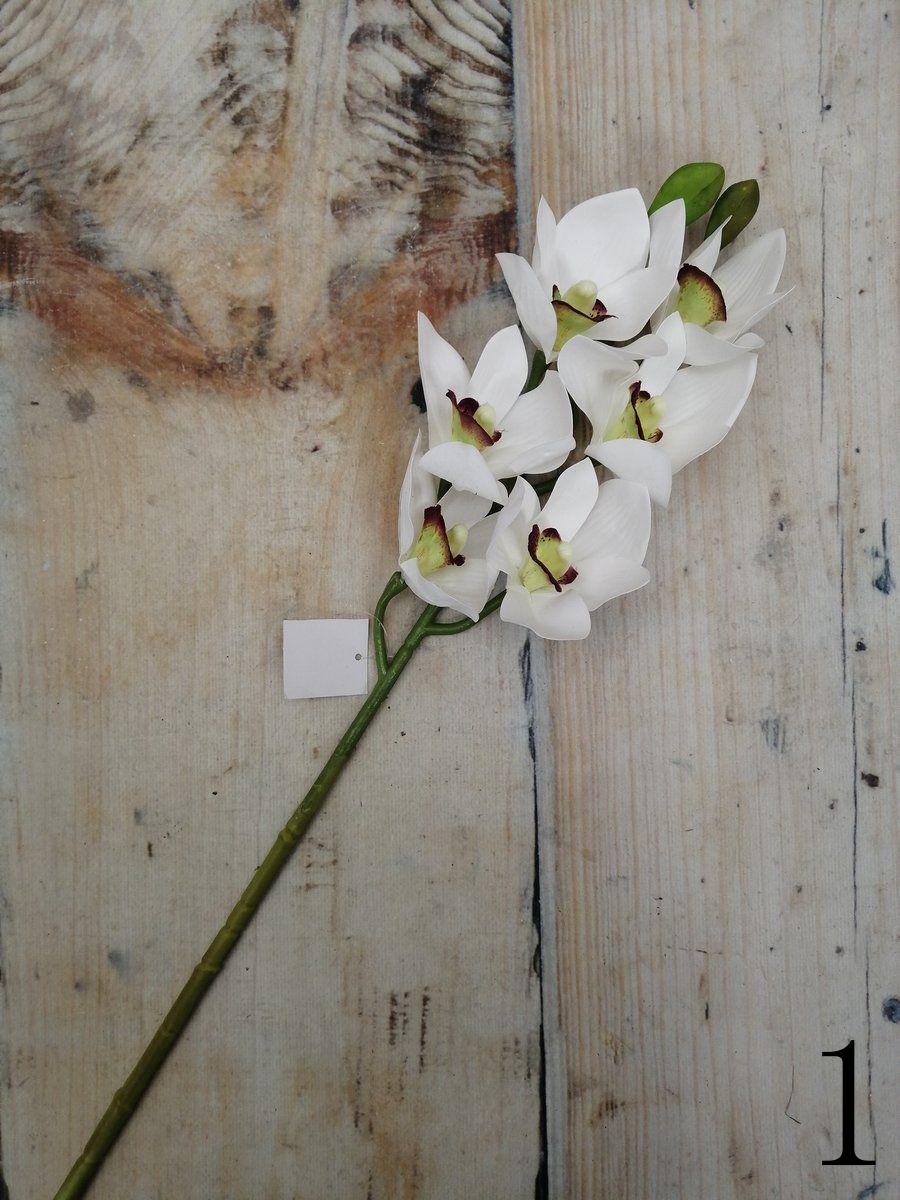 Орхидея GL03348  Интернет-магазин Feron Flower 