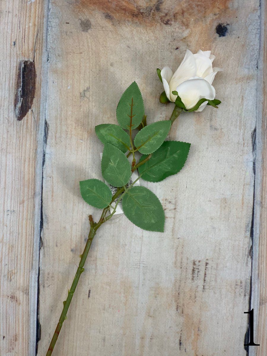 Роза K343  Интернет-магазин Feron Flower 