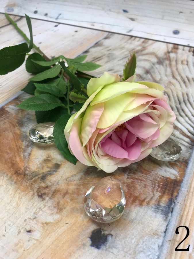 Роза SUN520  Интернет-магазин Feron Flower 